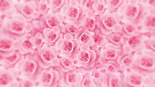 Videohive - Romantic Pink Rose Flower Background Love Romantic Wedding Motion Background Loop - 36806504 - 36806504