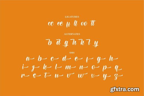 Dinasty Rubby Modern Script Font