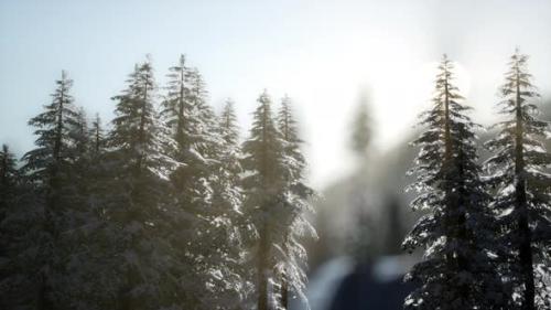 Videohive - Beautiful Winter Landscape in the Mountains - 36781916 - 36781916