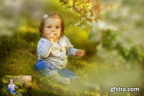 30 Apple Tree Branch Photo Overlays