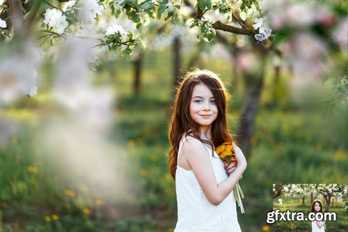 30 Apple Tree Branch Photo Overlays