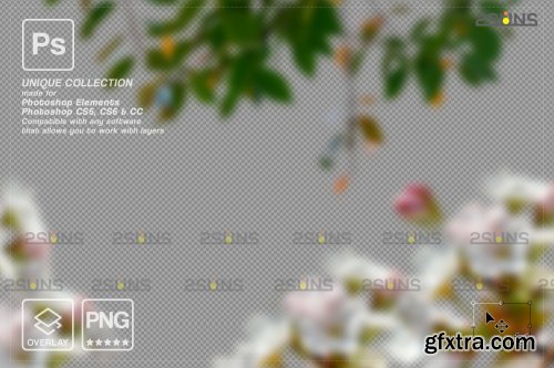 Flower overlay , Photoshop overlay, Flower overlays 