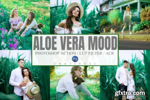 Aloe Vera Mood Photoshop Actions, LUTs