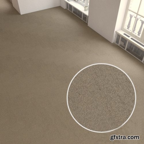 Carpet covering 196