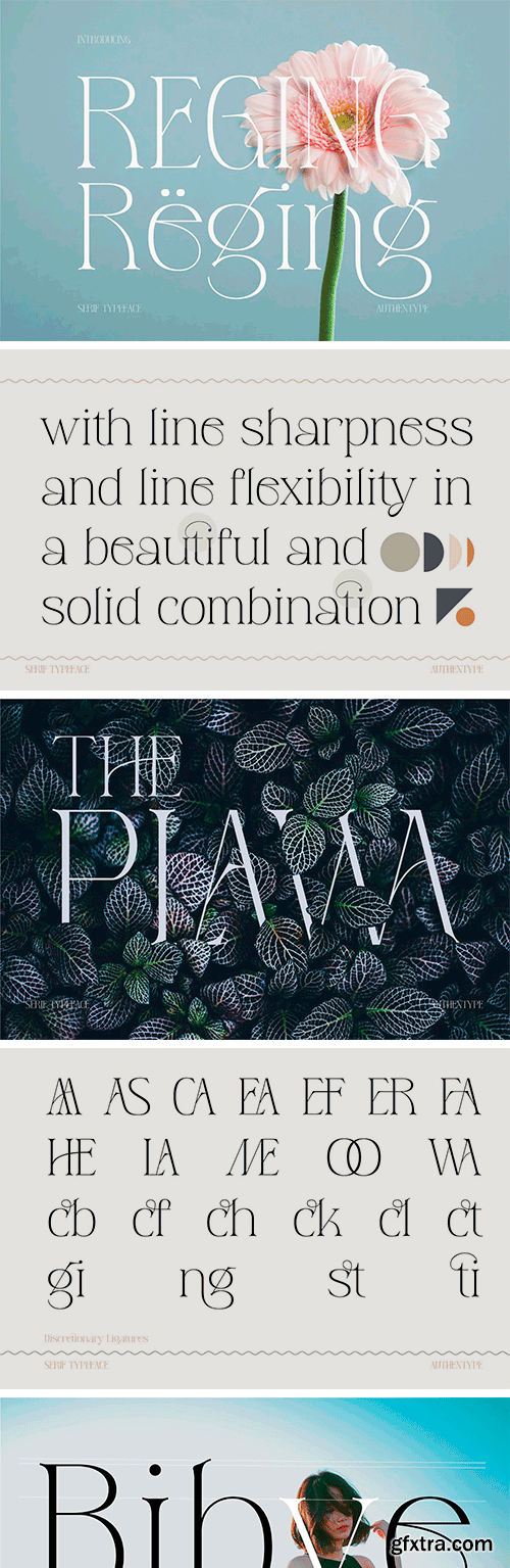 Reging - Serif Typeface Reging - Serif Typeface