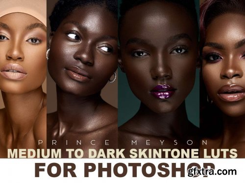Prince Meyson - Medium to Dark SkinTone LUTs For Photoshop