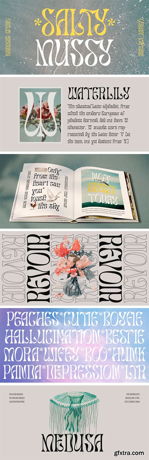 Salty Mussy Font Salty Mussy Font