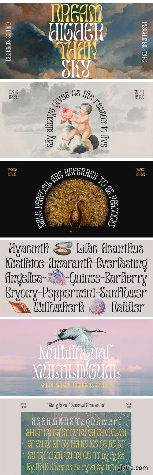 Salty Mussy Font Salty Mussy Font