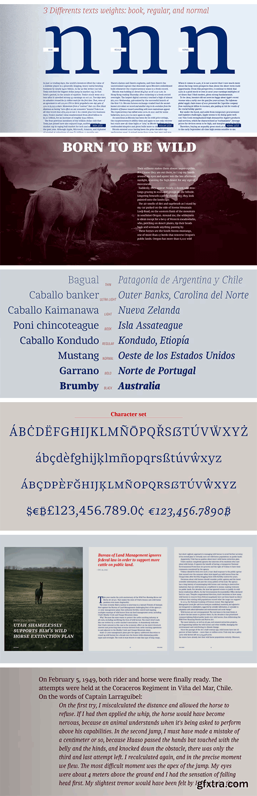 Chucara Next Font Family Chucara Next Font Family