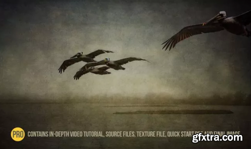 Photomorphis - PRO Tutorial: Silent Passage