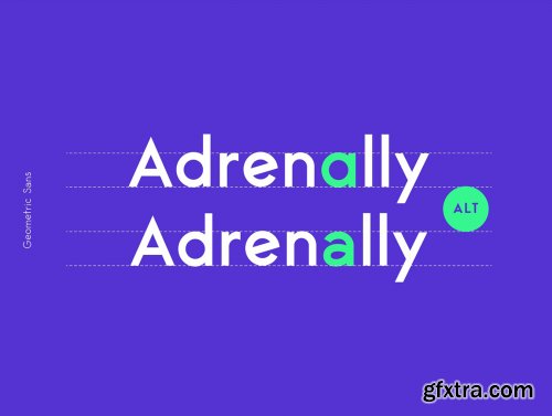 Maximus Sans Font Family