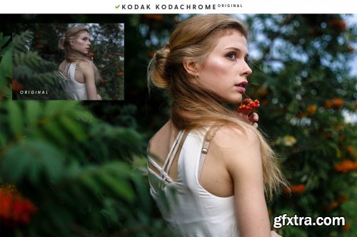 CreativeMarket - Film EMULATION - Lightroom Presets 5903125