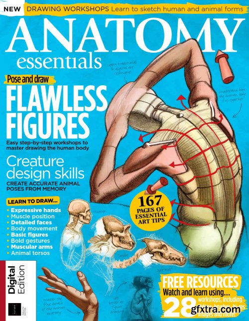 Anatomy Essentials - 12th Edition, 2022  