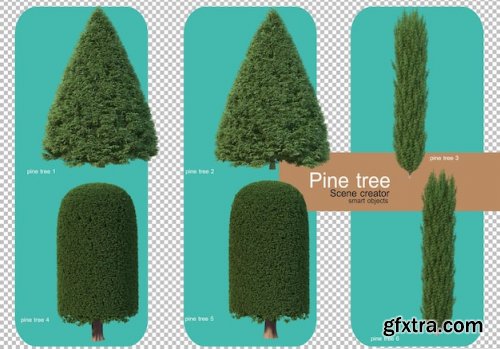 Various forms of pine trees 