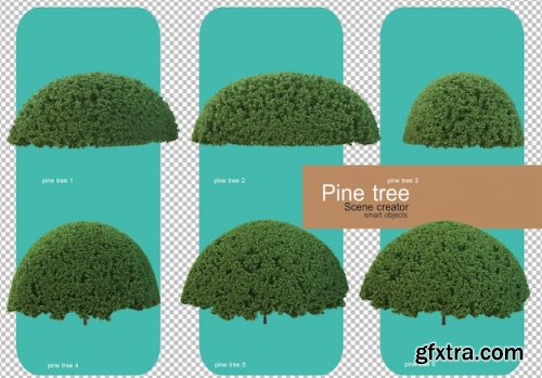 Various forms of pine trees 02