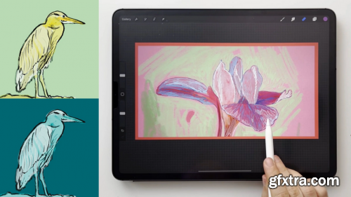  Mindful Colouring: Create Playful Art on Procreate
