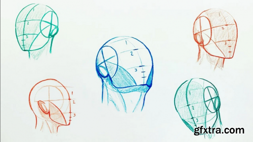  How to Easily Draw Heads | Understanding the Loomis Method