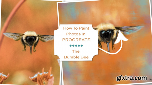  How To Paint Photos In Procreate: The Bumble Bee