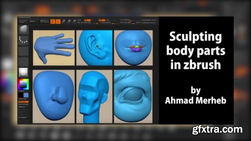  Sculpting Body Parts in Zbrush For Animation