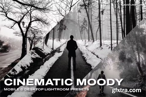 Cinematic Moody Lightroom Presets & LUTs
