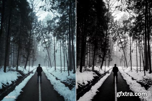 Cinematic Moody Lightroom Presets & LUTs