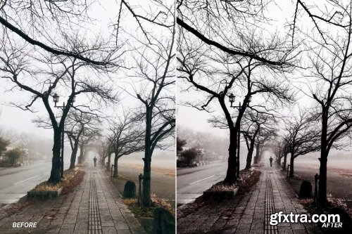 Cinematic Moody Lightroom Presets & LUTs