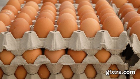 Poultry Farming: Layers Chicken (Egg Production)