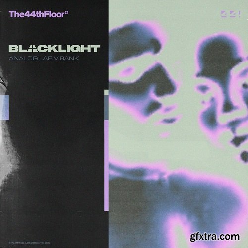 The44thfloor Blacklight (Analog Lab V Bank)