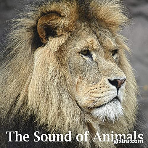 Sound Effects Factory The Sound of Animals WAV
