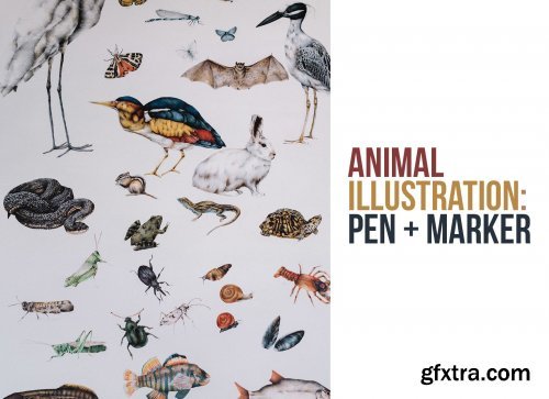 Animal Illustration: Pen and Marker