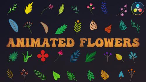 Videohive - Animated Flowers for DaVinci Resolve - 37564769 - 37564769