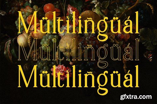 Vormation - Display Serif Font