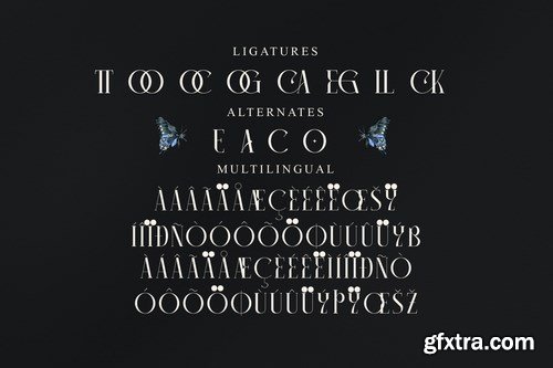 Camaroon Megalord Serif Font