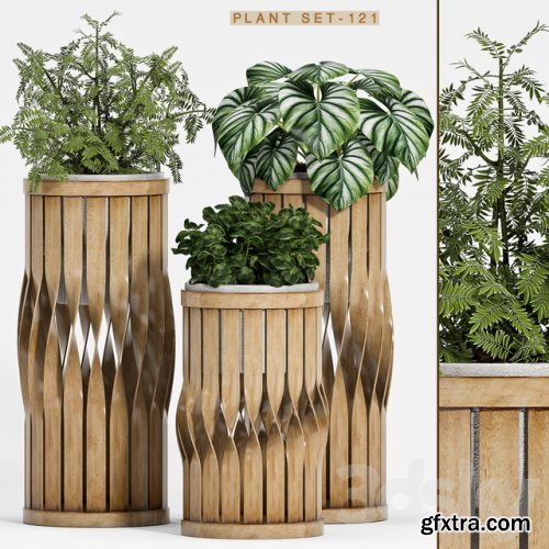 Plant set-121