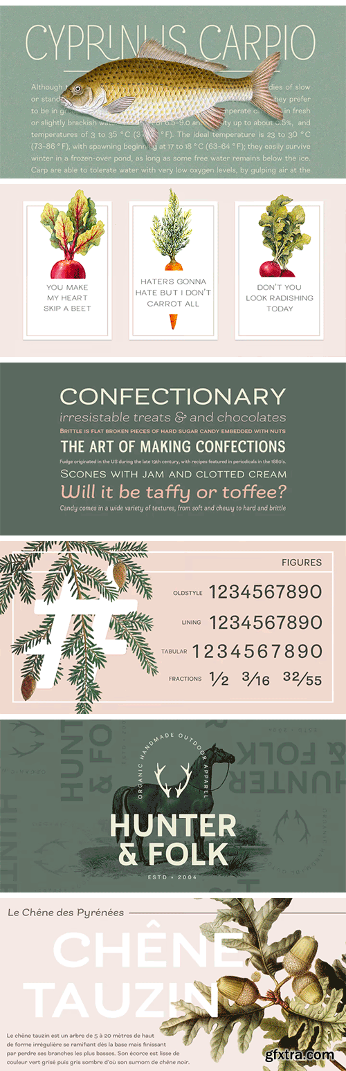 Bakewell Font Family Bakewell Font Family