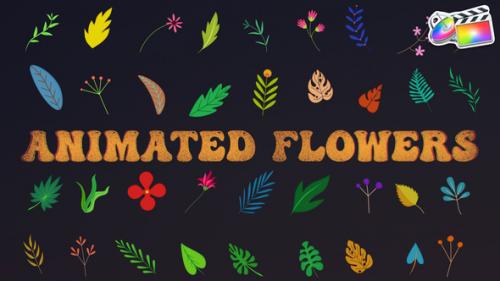 Videohive - Animated Flowers for FCPX - 37895285 - 37895285