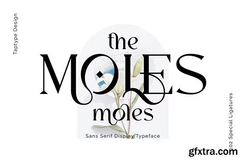 Moles - Vintage Serif Display Ligature Font