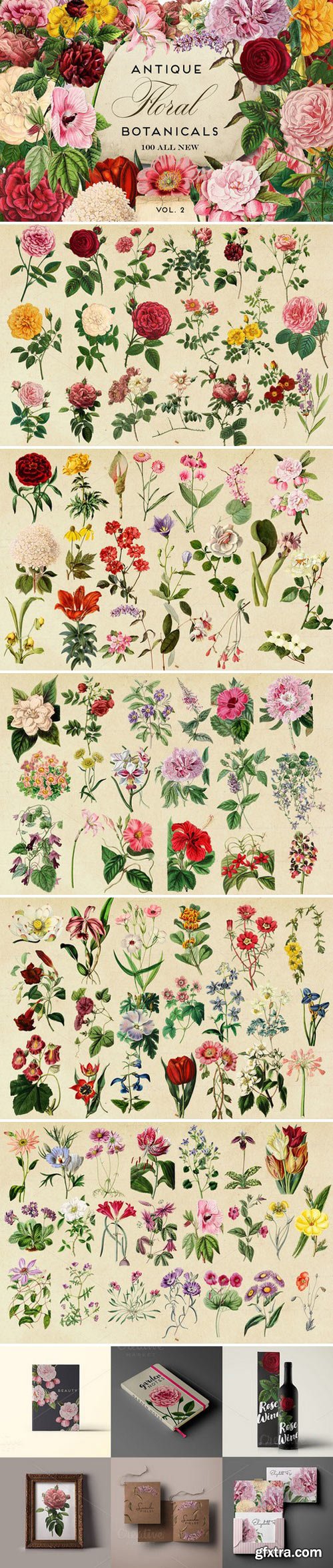 Antique Botanical Floral Graphics 2