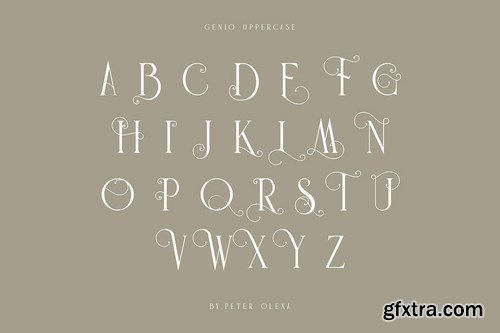 Genio Modern Serif Font