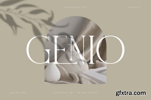 Genio Modern Serif Font