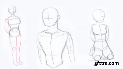  Human Body Anatomy Drawing - Beginner to Intermediate