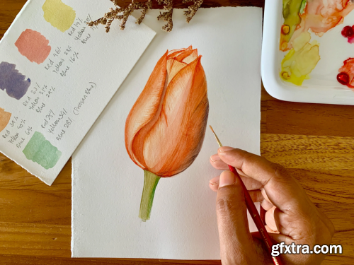  Watercolor Florals for Beginners: Exploring Depth, Color, and Details
