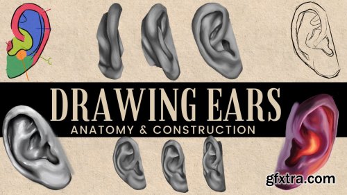  Drawing Ears At Any Angle - Anatomy to Improve Your Art