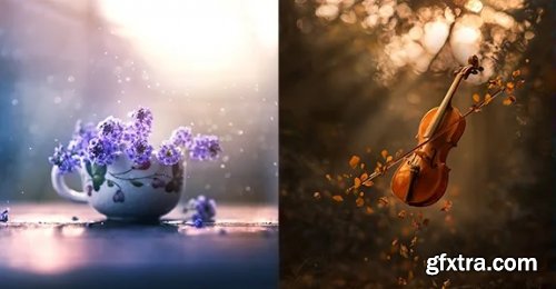 The Magical Photography Spellbook by Ashraful Arefin