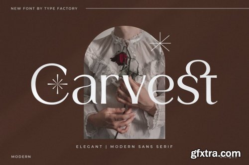 Carvest - Elegant & Modern Sans Serif