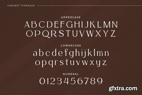 Carvest - Elegant & Modern Sans Serif
