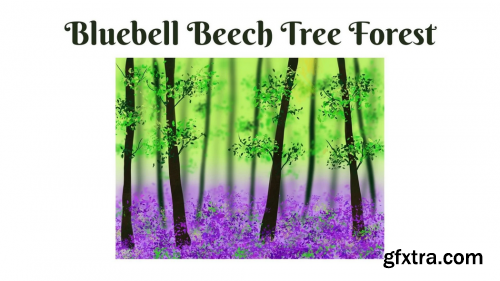  Procreate Landscape - Bluebell Beech Tree Forest
