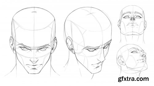  How To Draw Dynamic Heads & Faces
