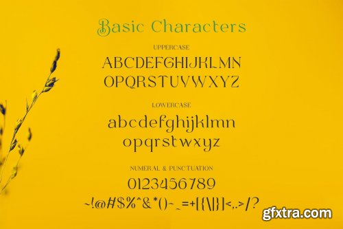 Bulone Typeface