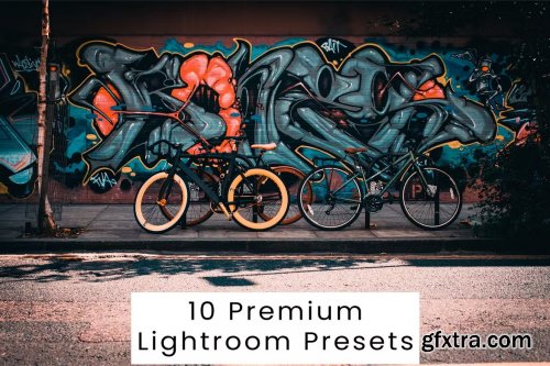  10 Premium Lightroom Presets